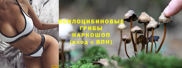 трава Волоколамск