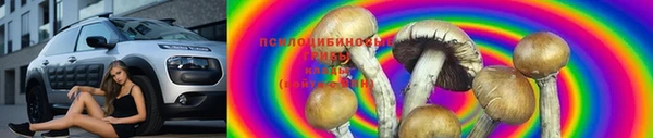 соль ск Володарск