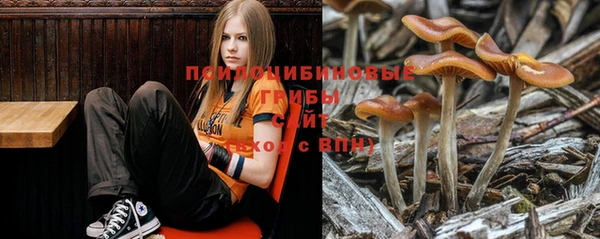 соль ск Володарск