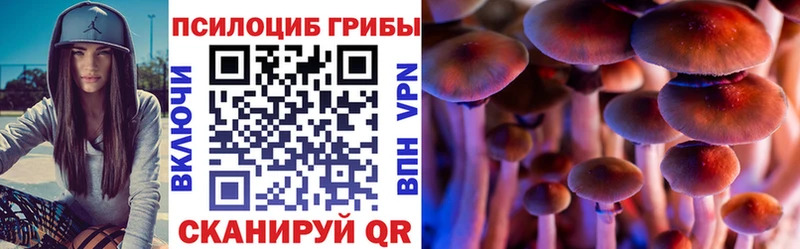 mega Новороссийск Псилоцибиновые грибы прущие грибы