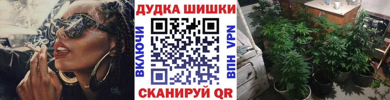 Бошки марихуана White Widow  где продают   Новороссийск 